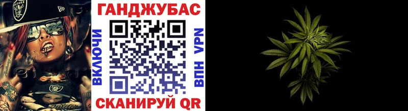 где купить   Гурьевск  Бошки марихуана сатива 